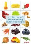 A Collection of not so Boring Gluten Free Recipes